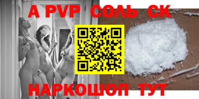 бошки Кингисепп