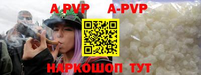 бошки Кингисепп