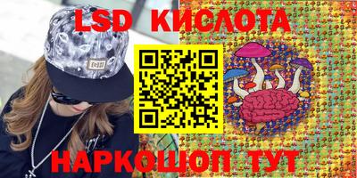 spice Кимры