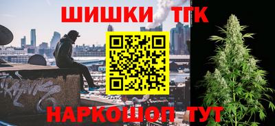 бошки Кингисепп
