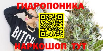 бошки Кингисепп