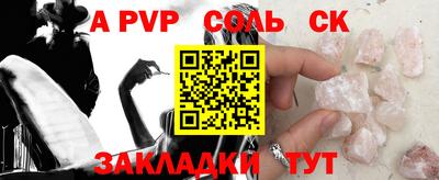 бошки Кингисепп