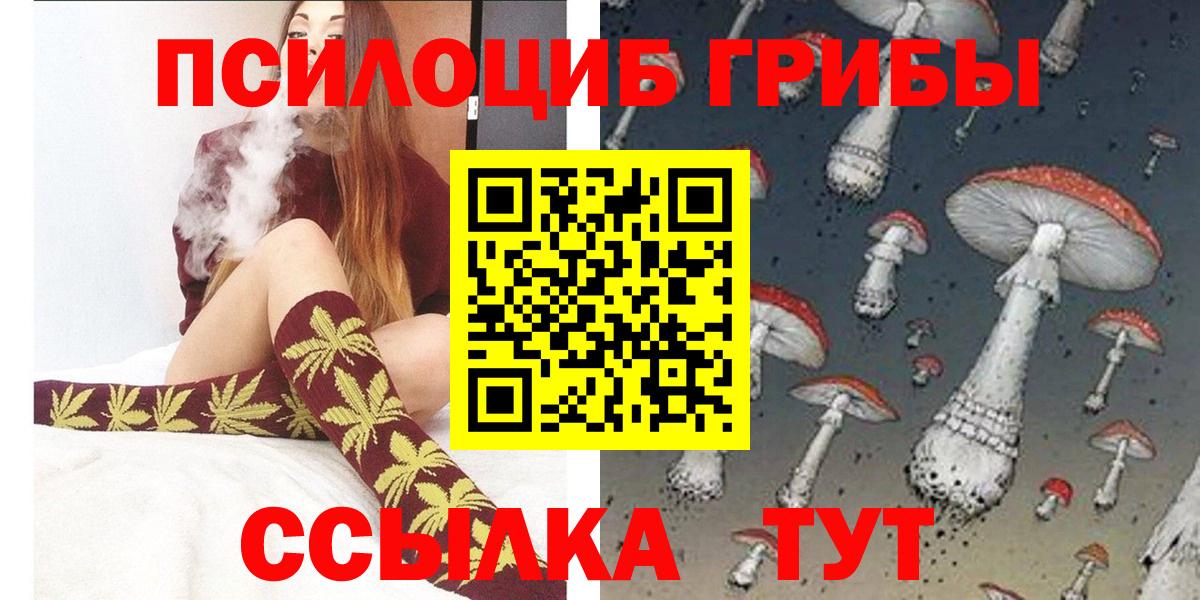 Электрогорск  Псилоцибиновые грибы MAGIC MUSHROOMS  Вход с VPN 