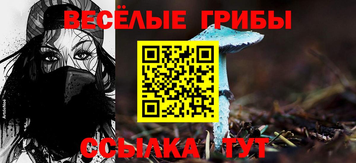 Псилоцибиновые грибы GOLDEN TEACHER Электрогорск